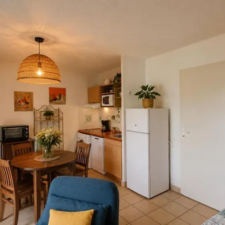 Apartmán Cosy Avec Piscine Terrasse Jardin Et Velos A *